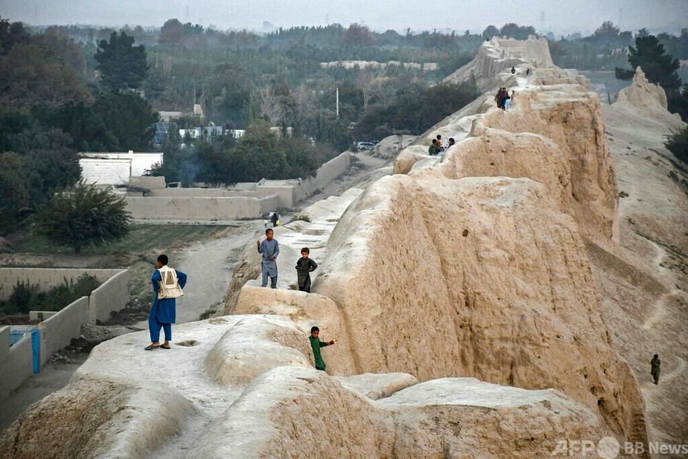 img_69820ee440e55265794612d919