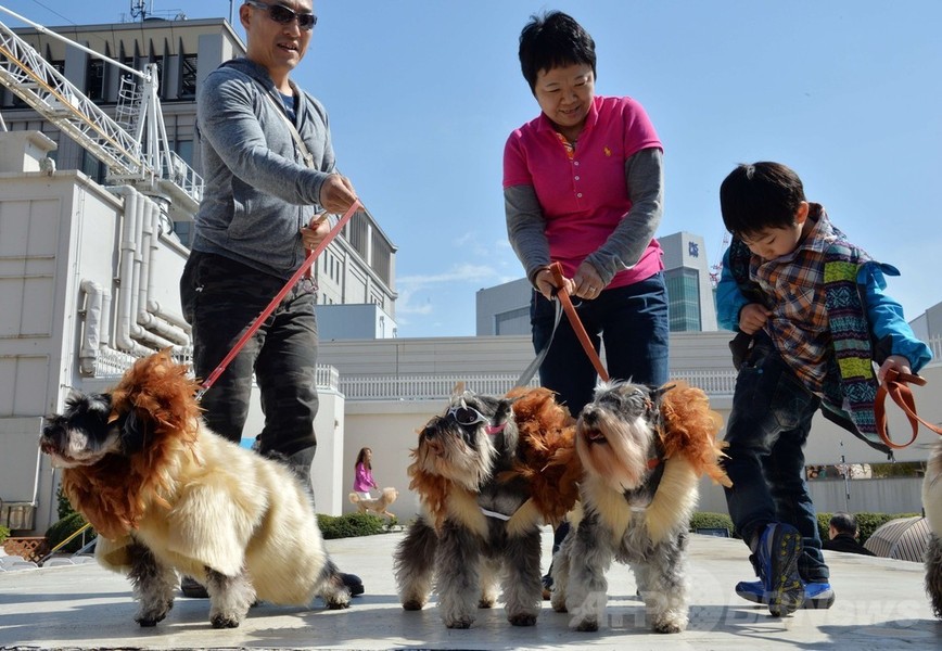 犬がライオンに変身！都内デパートで記念行事