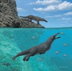 ペルーの太平洋岸プラヤメディアルナで発見された、4本足を持つクジラの祖先の想像図（Alberto Gennari氏作、2019年4月3日 Olivier Lambert氏提供）。(c)Alberto GENNARI / Olivier LAMBERT / AFP