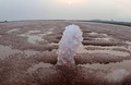 塩湖に咲いた一輪の硫酸ナトリウムの「花」（2020年1月27日撮影）。(c)CNS/姜華