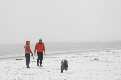 米南部に異例の吹雪、交通まひで数千人立ち往生