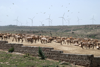 エチオピア、風力発電など再生可能エネルギー事業を強化