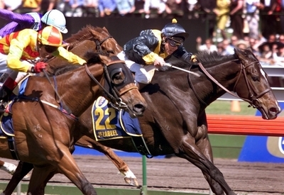 豪競馬場に下着姿の男が乱入、レースは無効に