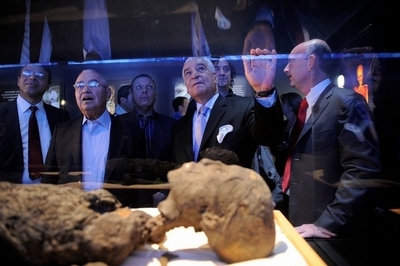 ツタンカーメンの死因はマラリアではなく血液疾患、ドイツ研究チーム