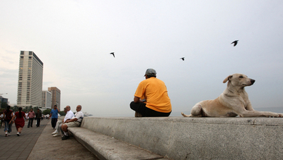 ムンバイ同時襲撃事件、ノックを無視で難を逃れたカナダ人