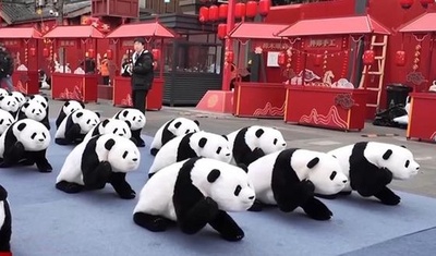 中国の「春晩」に登場したパンダ軍団 その正体はロボット犬