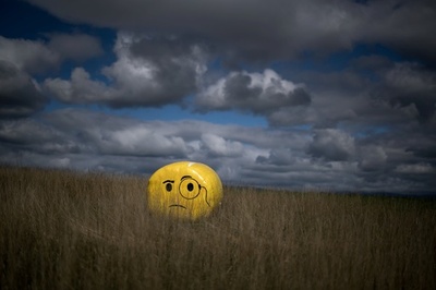 【今日の1枚】主張する牧草ロール、工場式畜産の禁止をめぐり国民投票 スイス
