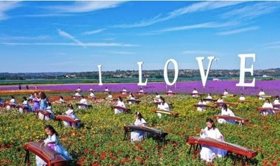 広大な「花の海」が見ごろを迎える 山西・襄垣