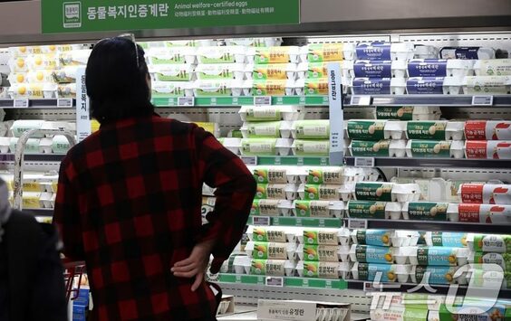 韓国食品業界・内需低迷とコスト増の二重苦が深刻化…原油高とウォン安が直撃