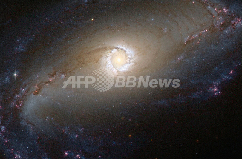 星を生み出すまばゆい光の輪 棒渦巻銀河 Ngc 1097 写真1枚 国際ニュース Afpbb News