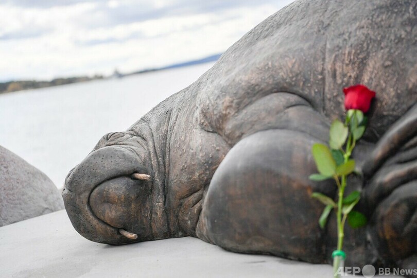 殺処分セイウチの彫像完成 ノルウェー