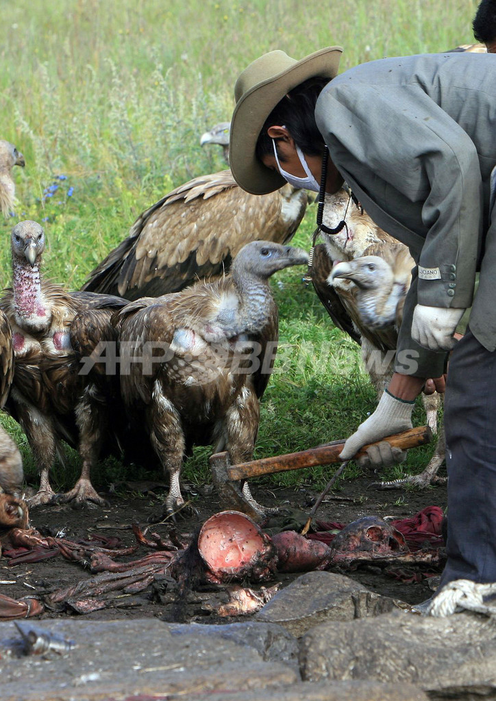 国際ニュース：AFPBB News中国チベット族に今なお残る「鳥葬」の伝統