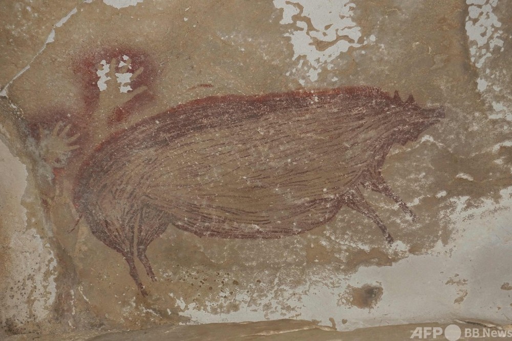 楽しい絵　インドネシア 世界最古、4万5500年以上前の洞窟壁画 インドネシア洞窟で発見