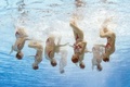 スペイン・バルセロナ（Barcelona）で開催されている第15回世界水泳選手権（15th FINA World Championships）。水中カメラで撮影されたシンクロナイズドスイミング・チームの演技の様子。

チームフリールーティン（FR）予選で演技するスペインの選手（2013年7月23日撮影）。(c)AFP/FRANCOIS XAVIER MARIT