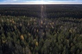 フィンランドの北極圏、ラップランド地方（2022年10月6日撮影、資料写真）。(c)Olivier MORIN / AFP