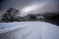 大雪に見舞われたフランス南東部トゥルノンシュルローヌ近郊の様子（2019年11月15日撮影）。(c)JEAN-PHILIPPE KSIAZEK / AFP