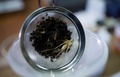 ドイツ西部クレーフェルトで、アマチュア昆虫学会が捕虫器で採集した昆虫（2019年5月9日撮影）。(c)INA FASSBENDER / AFP