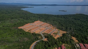 パナマ先住民1200人、島から本土へ移転 海面上昇で立ち退き