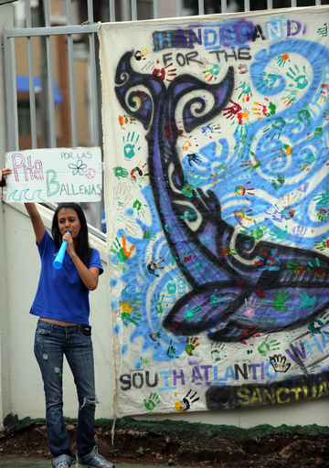 韓国、調査捕鯨実施へ IWC総会で表明