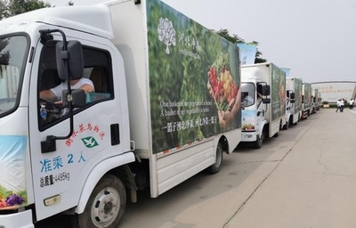 首都圏に24時間で新鮮野菜を届ける 中国の「農業県」