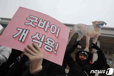 韓国の犬食用、歴史の裏側へ…2027年から全面禁止