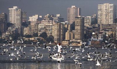 渡り鳥に餌を与え続けて40年 - インド
