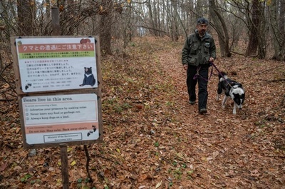 Dogs, antennas and honey for Japan's big bear problem