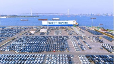 中国港湾経済の強靭な成長力