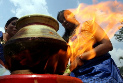 加熱調理を初めてマスターしたのはホモ・エレクトスか、米研究