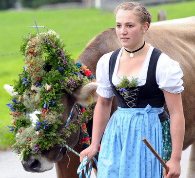 まるでハイジの世界、独アルプス伝統の牛の行列