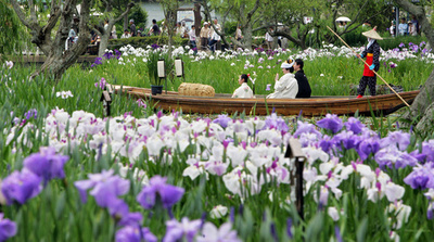 Allow separate surnames on marriage, Japan businesses say