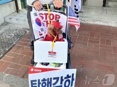 韓国・政治集会に続々登場“コスプレ犬”は「可愛すぎる」けど…「騒音」「寒さ」「見知らぬ人たち」は犬にはストレス