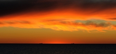 直近の間氷期、海面は8メートル高かった 米研究