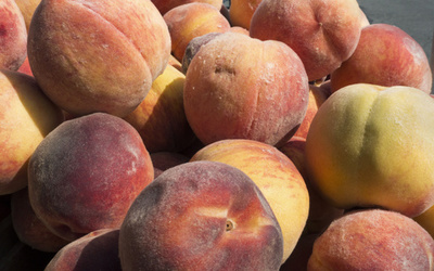 運転士が列車を停止、理由は桃を買うため？ チュニジア