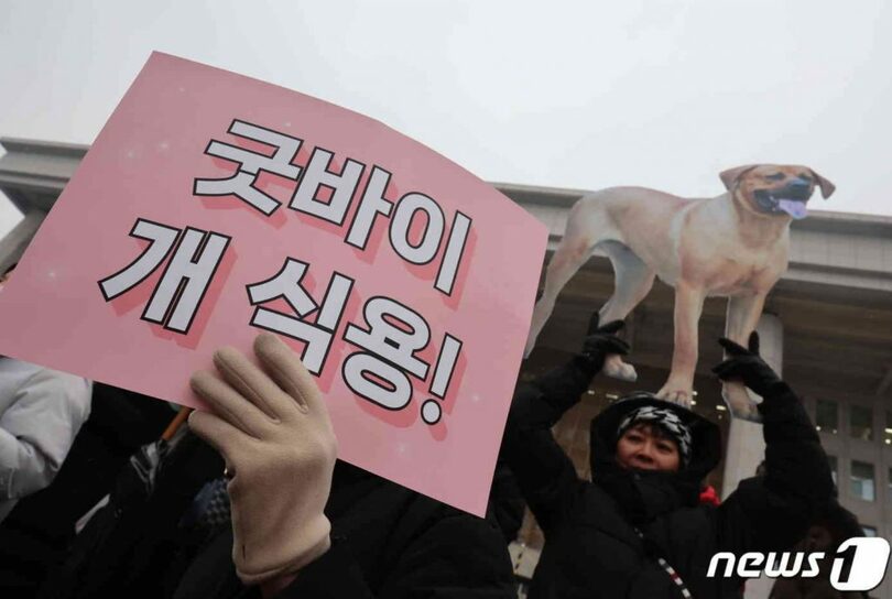 犬の食用終息のため行動を取る活動家たち（c）news1