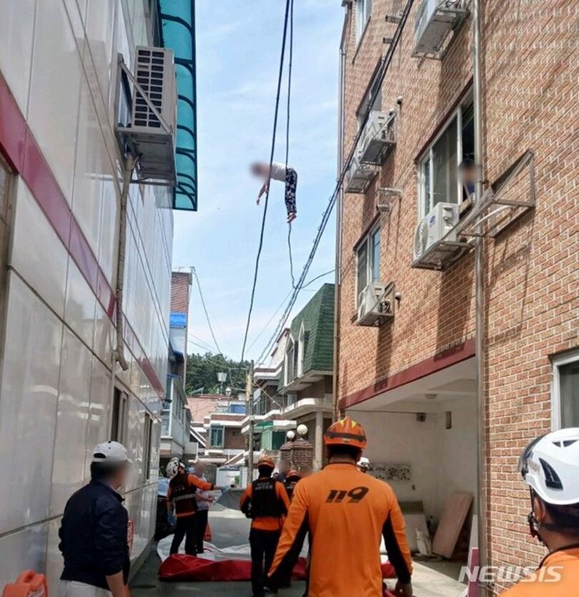 高さ6mの電線にぶら下がる女性＝読者提供(c)NEWSIS