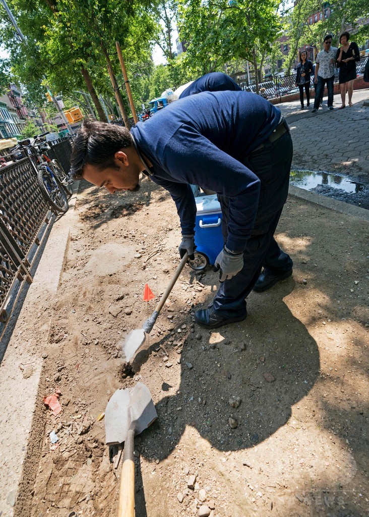 ネズミ駆除の新しい武器はドライアイス、米ニューヨーク