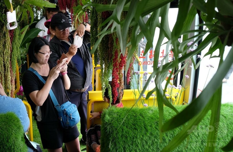 台湾に緑豊かな「フォレストバス」登場