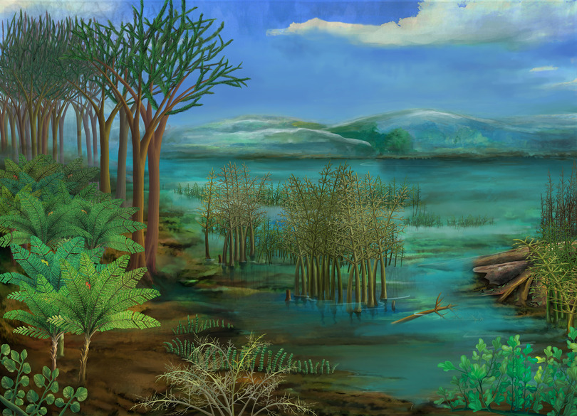 種子植物の大繁殖が「大氷河期」の原因 最新研究で発見