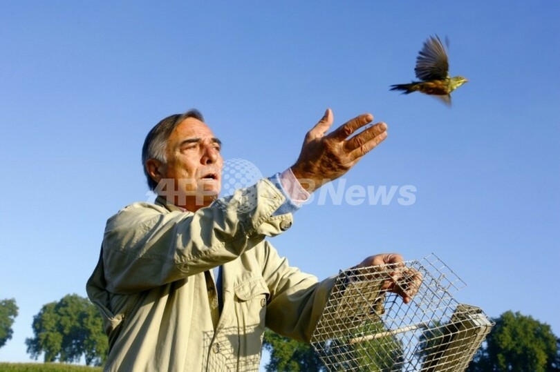 小鳥を美食の犠牲から守れ 仏野鳥保護団体が特殊部隊 写真3枚 国際ニュース Afpbb News
