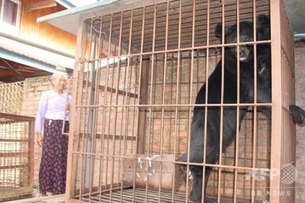 熊が大きくなり育てられなくなった 飼い主のおばあさん自ら通報 雲南 写真4枚 国際ニュース Afpbb News