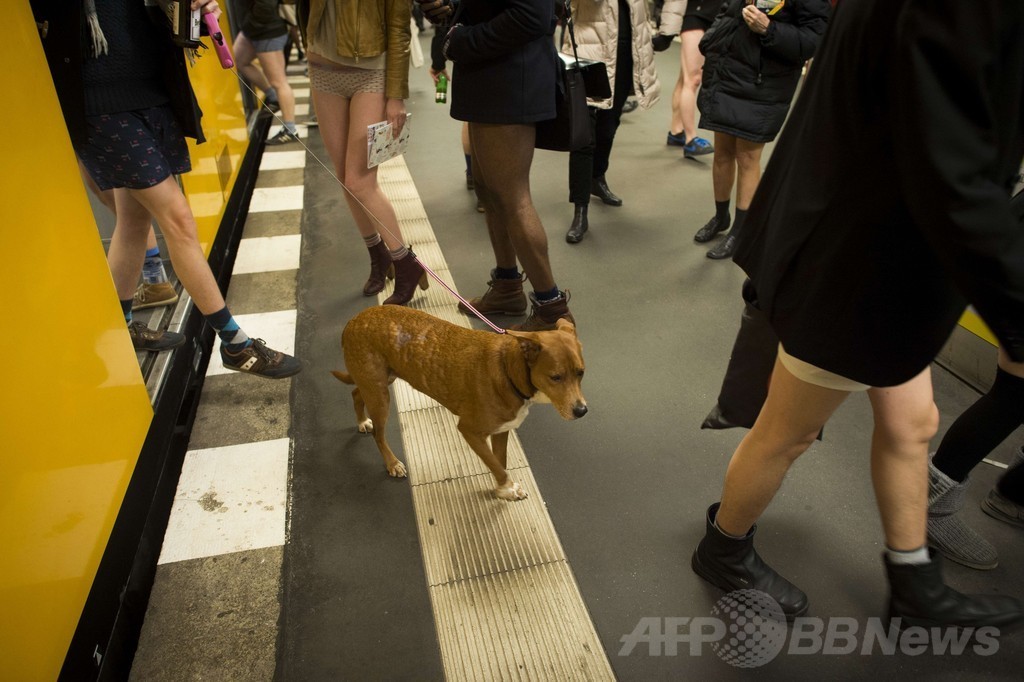 世界60都市で「ノーパンツ」デー開催、南米や中国でも