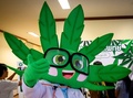 タイの首都バンコクに開業した大麻専門クリニックのマスコット（2020年1月6日撮影）。(c)Mladen ANTONOV / AFP