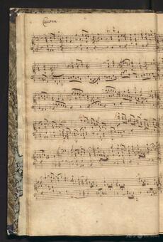 新たに見つかったバッハのオルガン2作品、ゆかりの教会で演奏 ドイツ