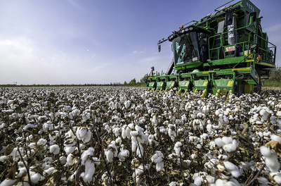 EUの中国新疆からの輸入が3倍超に急増