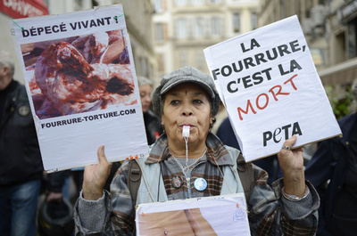 毛皮に反対、仏2都市で抗議活動