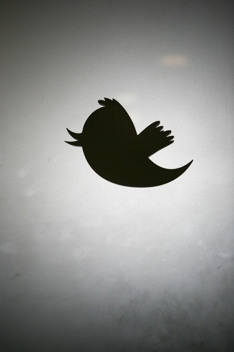 ツイッター月間アクティブユーザー、1億人突破