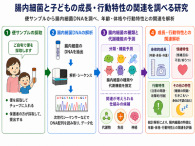 子どもの発達と腸内細菌の関係を探る。日本の未就学児を対象に、 成長・行動特性と腸内細菌叢の関連を解析