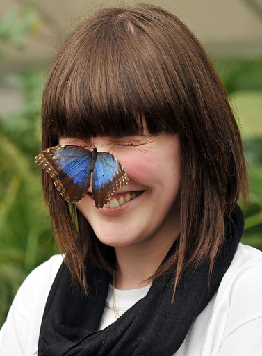 蝶のジャングル！ロンドンの自然史博物館