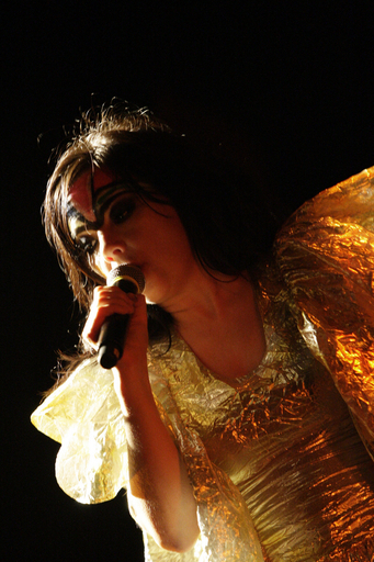 「シドニー・フェスティバル2008」ビョークがパフォーマンスを行う